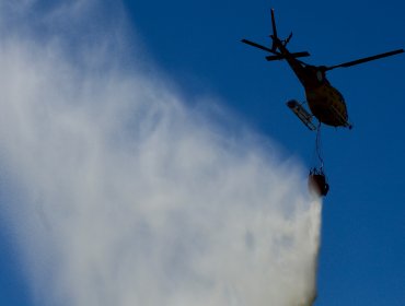 Declaran Alerta Roja para Cholchol por incendio forestal que presenta cercanía a sectores habitados