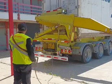 Instalan contenedor congelador para mantener donaciones y alimentos para damnificados por los incendios en Viña del Mar