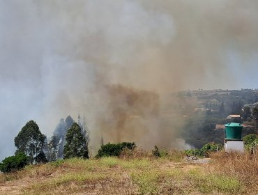 Declaran Alerta Roja para Santo Domingo por incendio forestal que amenaza a viviendas