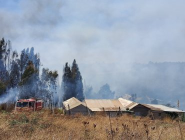 Incendio forestal en Santo Domingo mantiene "actividad de baja intensidad al interior del área quemada"