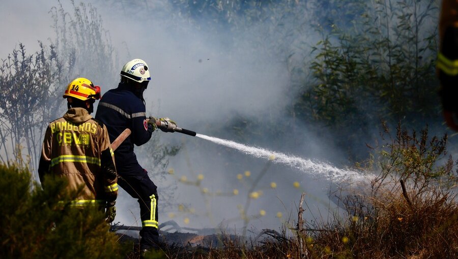 Senapred ordena la evacuación de Altos del Río en San Javier por incendio forestal