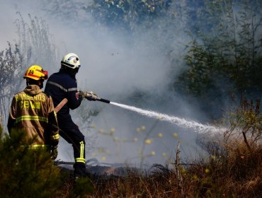 Senapred ordena la evacuación de Altos del Río en San Javier por incendio forestal