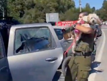 Sujeto es detenido por maltrato animal al encerrar a su mascota al interior de su automóvil en medio de las altas temperaturas