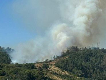 Detienen a dos hombres sindicados como presuntos responsables del incendio que afecta al Cerro Ñielol en Temuco