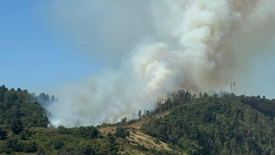 Detienen a dos hombres sindicados como presuntos responsables del incendio que afecta al Cerro Ñielol en Temuco
