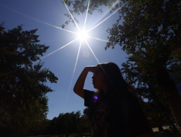 Alerta meteorológica para siete regiones del país: Pronostican temperaturas extremas para este fin de semana