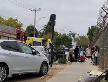 Adulta mayor perdió la vida tras ser atropellada en calle Serrano de Quillota