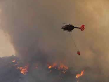 Declaran Alerta Temprana Preventiva para cinco provincias de la región de Valparaíso por amenaza de incendios forestales