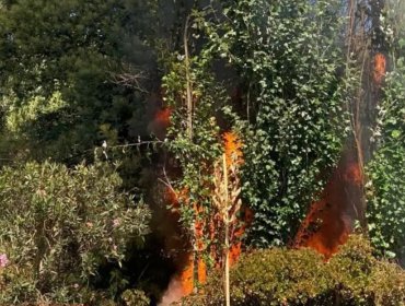 Incendio consume por completo carpa ubicada al costado del estero Marga Marga en Viña del Mar