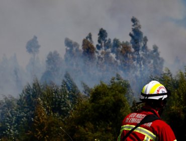 Mujer es detenida por incendio que mantiene con Alerta Roja a Nueva Imperial: Habría provocado llamas en quema de basura