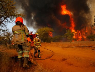 Declaran Alerta Roja en Nueva Imperial: incendio forestal amenaza a viviendas cercanas