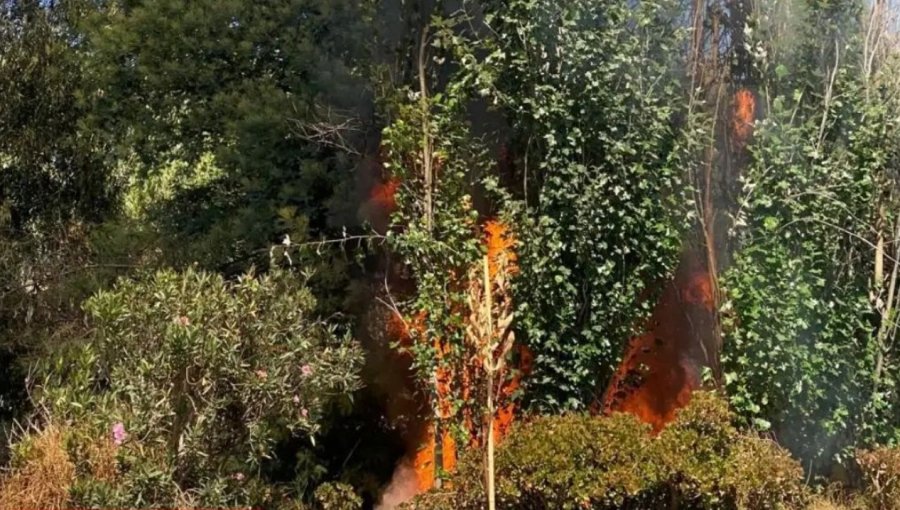 Incendio consume por completo carpa ubicada al costado del estero Marga Marga en Viña del Mar