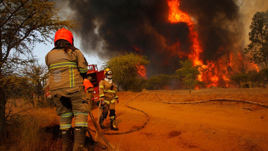 Declaran Alerta Roja en Nueva Imperial: incendio forestal amenaza a viviendas cercanas