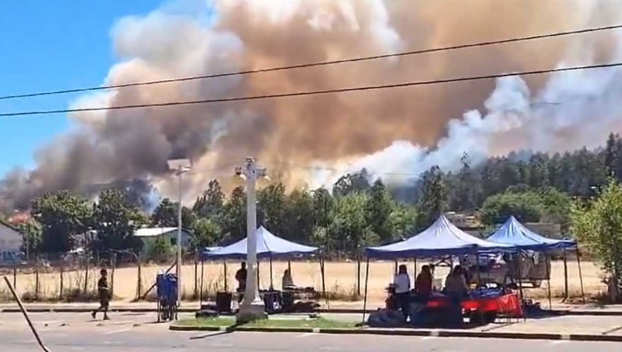 Senapred decreta Alerta Roja por incendio que ha arrasado 8 hectáreas en Traiguén