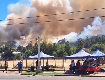 Senapred decreta Alerta Roja por incendio que ha arrasado 8 hectáreas en Traiguén