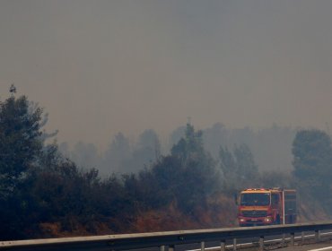 Decretan Alerta Roja para Collipulli por incendio forestal