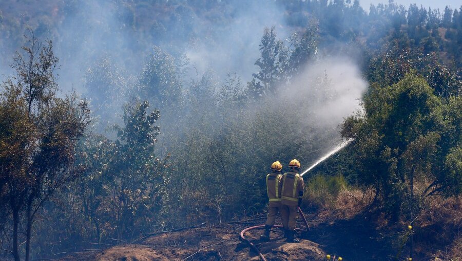 Ordenan evacuar tres sectores de Purén por incendio forestal