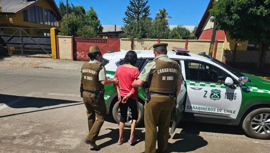 Mujer es detenida por iniciar incendio forestal de Traiguén al quemar casa de su pareja