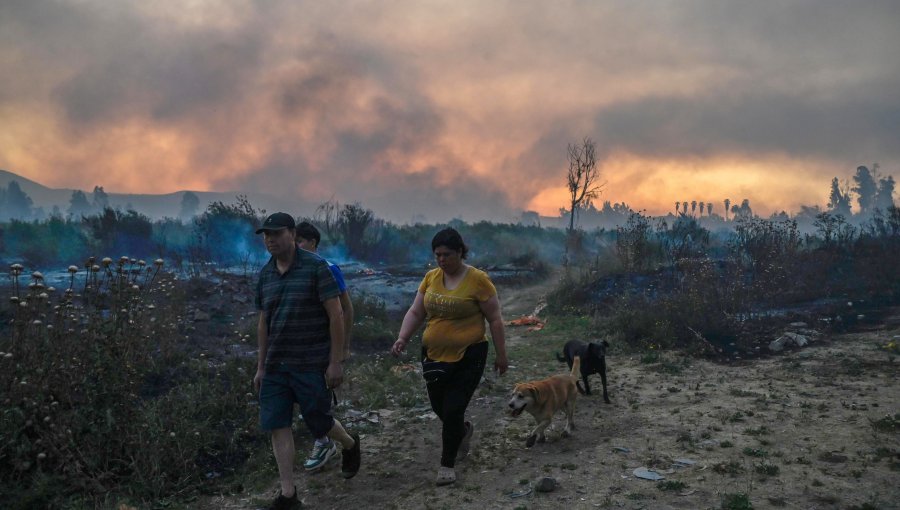 Gobierno confirma que hay 16 detenidos por incendios forestales en La Araucanía