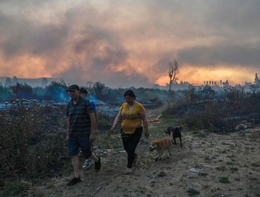 Gobierno confirma que hay 16 detenidos por incendios forestales en La Araucanía