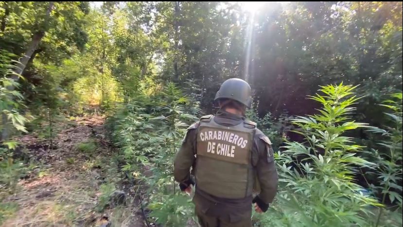 Detenido un trabajador de parquímetro en San Antonio que vendía drogas en horario laboral