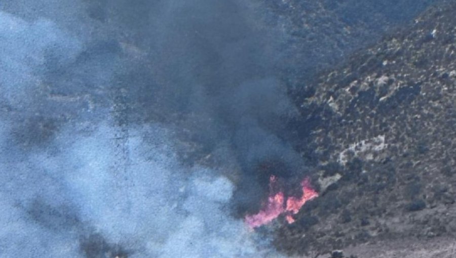 Incendio forestal con “comportamiento extremo” mantiene en alerta a Nogales