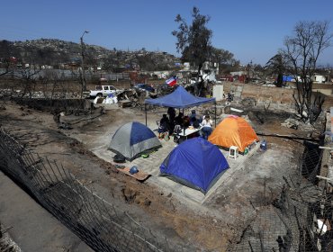 Con fuertes críticas a Ripamonti y al Gobierno, Concejo aprueba compra de 854 carpas para damnificados de los incendios en Viña del Mar