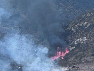 Incendio forestal con “comportamiento extremo” mantiene en alerta a Nogales