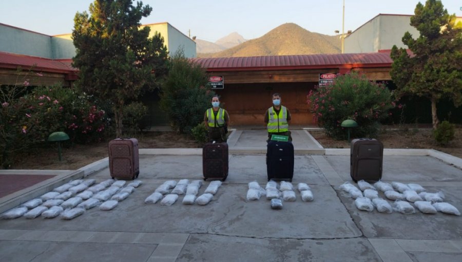 Hallan 71 kilos de marihuana al interior de bus interurbano en Nogales