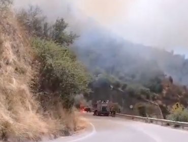 Declaran Alerta Roja en la comuna de Las Cabras por incendio forestal