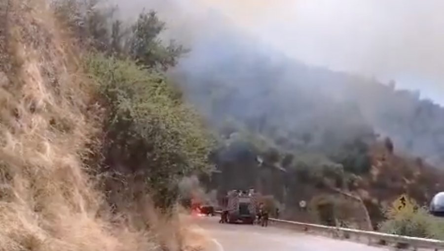 Declaran Alerta Roja en la comuna de Las Cabras por incendio forestal