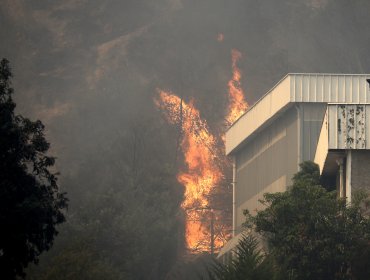 Servicio Médico Legal informó que aún hay seis víctimas de los incendios en la región de Valparaíso sin identificar