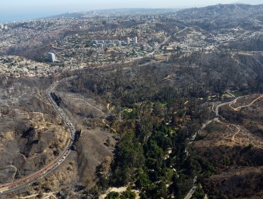 Servicio Médico Legal ha entregado 109 cuerpos tras incendios forestales en la región de Valparaíso