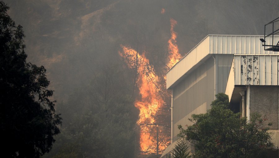 Servicio Médico Legal informó que aún hay seis víctimas de los incendios en la región de Valparaíso sin identificar