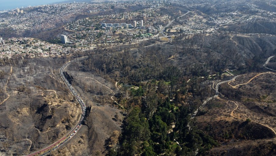 Servicio Médico Legal ha entregado 109 cuerpos tras incendios forestales en la región de Valparaíso