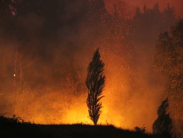 Cámara de Diputados despacha al Senado la Ley de Incendios: Artículo sobre cambio de uso del suelo de áreas afectadas fue rechazado