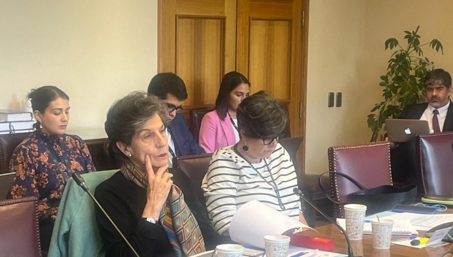 Senadora Isabel Allende Bussi: “Tenemos que continuar promoviendo la inclusión laboral de las mujeres en todos los ámbitos del Trabajo”