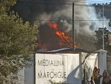 Voraz incendio obliga a suspender la fiesta de la vendimia en Marchihüe