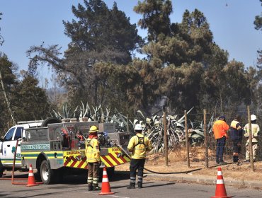 Conaf Valparaíso no ha comprado carro que pudo ser vital para evitar expansión del megaincendio y cuyos fondos están desde 2022