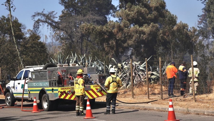 Conaf Valparaíso no ha comprado carro que pudo ser vital para evitar expansión del megaincendio y cuyos fondos están desde 2022