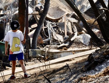 Piden al Ministerio de Educación que reponga a alumnos de Viña, Quilpué y Villa Alemana sus computadores quemados en incendios