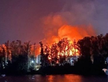 Incendio forestal en Curauma de Valparaíso se mantiene "activo en todos sus sectores con avance lento"