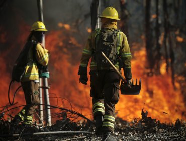 Conaf rompe el silencio tras la polémica y asegura que carro que aún no compran "no hubiera hecho la diferencia" en megaincendio