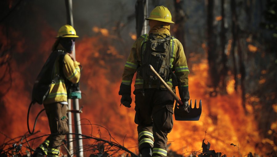 Conaf rompe el silencio tras la polémica y asegura que carro que aún no compran "no hubiera hecho la diferencia" en megaincendio