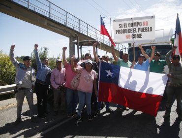 Diputado Rathgeb advierte que el gobierno "insiste en bajar el perfil" a crisis de agricultores en la Araucanía