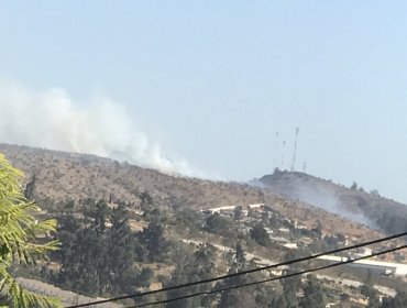 Incendio forestal afecta al sector Los Maitenes de Villa Alemana: Bomberos y personal de Conaf combaten el siniestro