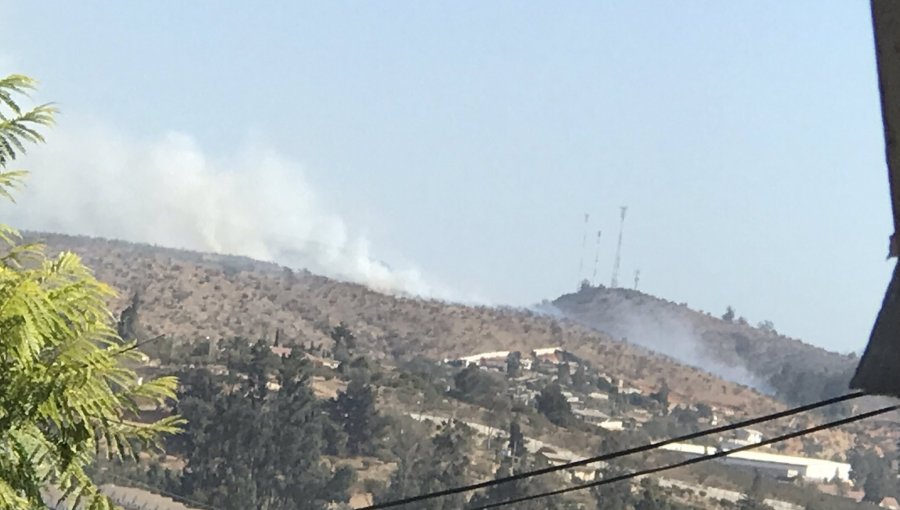 Incendio forestal afecta al sector Los Maitenes de Villa Alemana: Bomberos y personal de Conaf combaten el siniestro