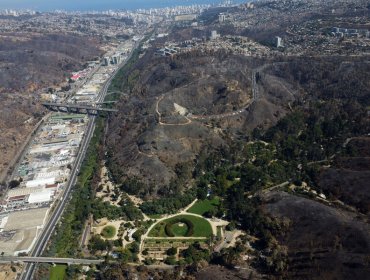 Informe de Conaf revela que fueron cuatro focos los que dieron inicio a los incendios de la región de Valparaíso