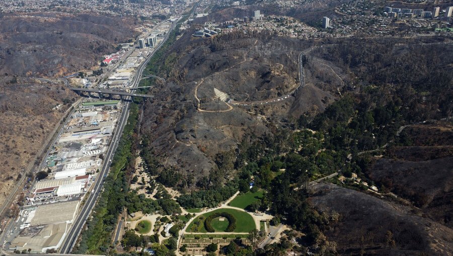 Informe de Conaf revela que fueron cuatro focos los que dieron inicio a los incendios de la región de Valparaíso