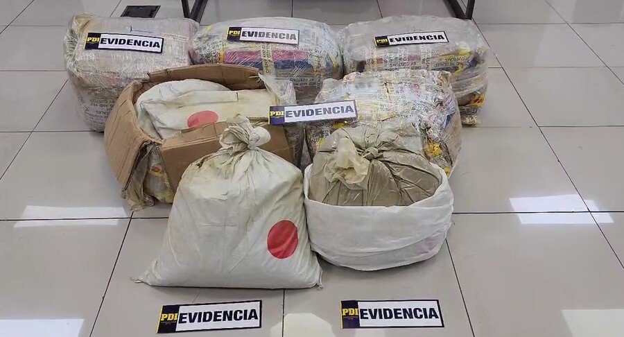 PDI decomisa el mayor cargamento de la droga kratom que se tenga registro en Chile